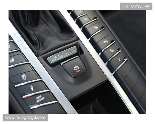 如何通过保时捷PG官网入口快速获取最新车型信息与服务