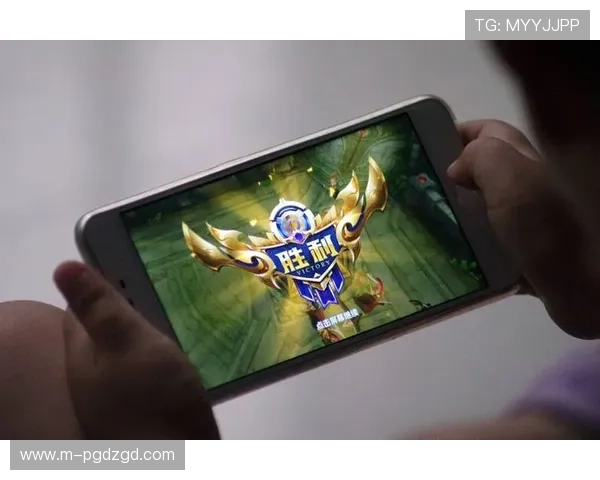 玩家热议PG娱乐电子游戏官网的优质服务，赢得行业内外的一致好评