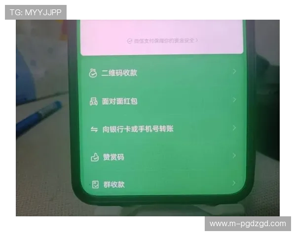 PG转钱网站使用技巧分享提升转账效率和资金安全的实用操作指南
